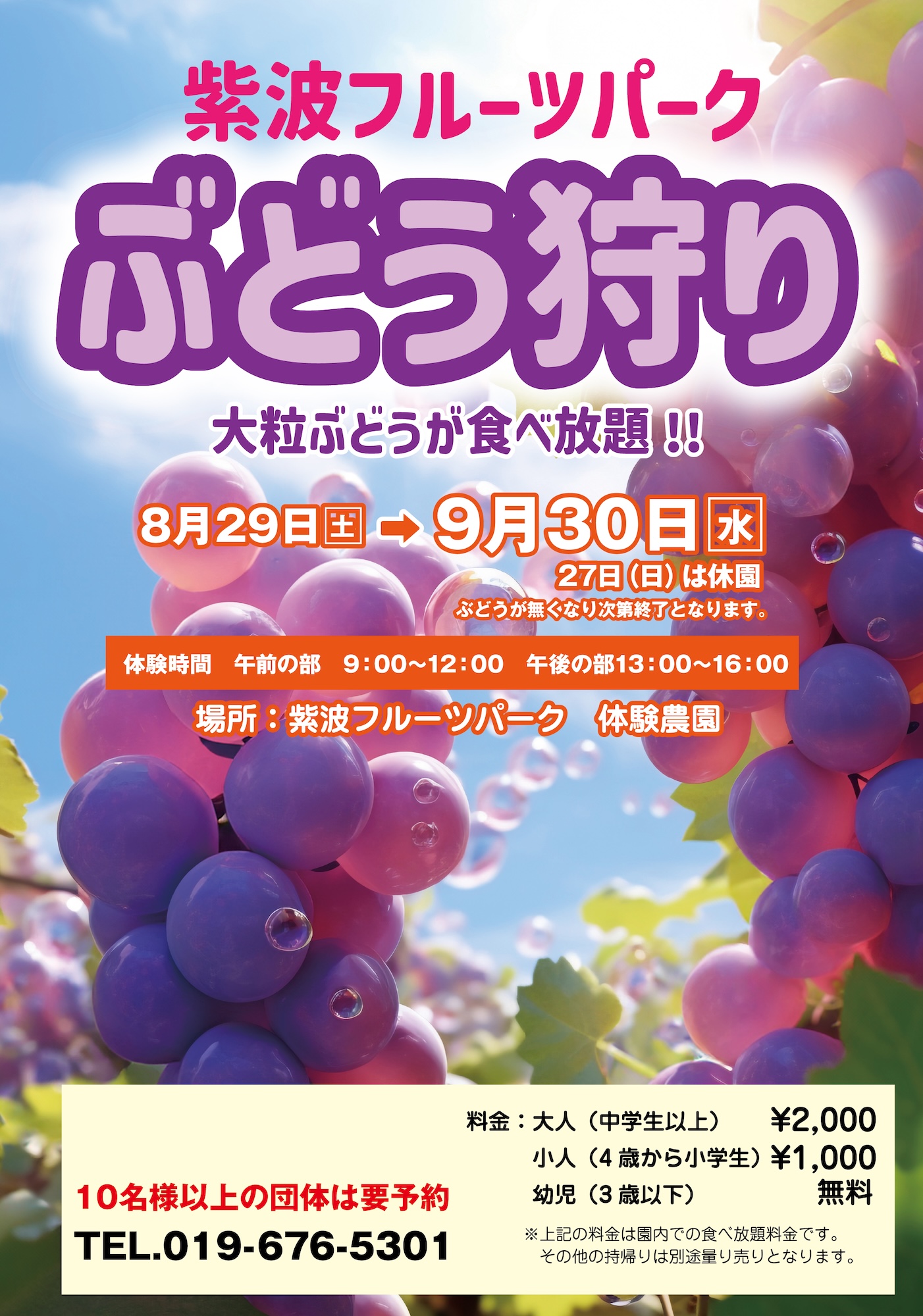 大好評ぶどう狩り開催中！