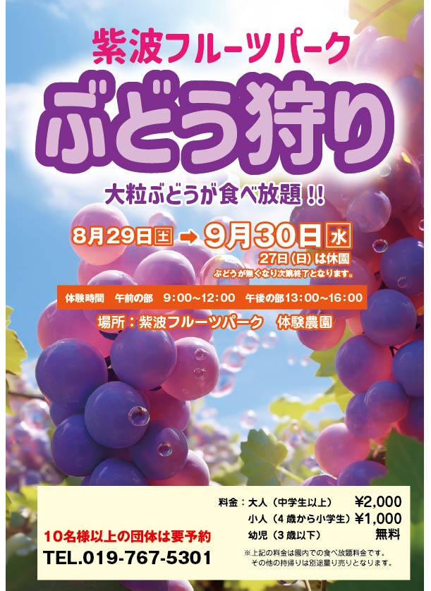 大好評ぶどう狩りは8/29から開催